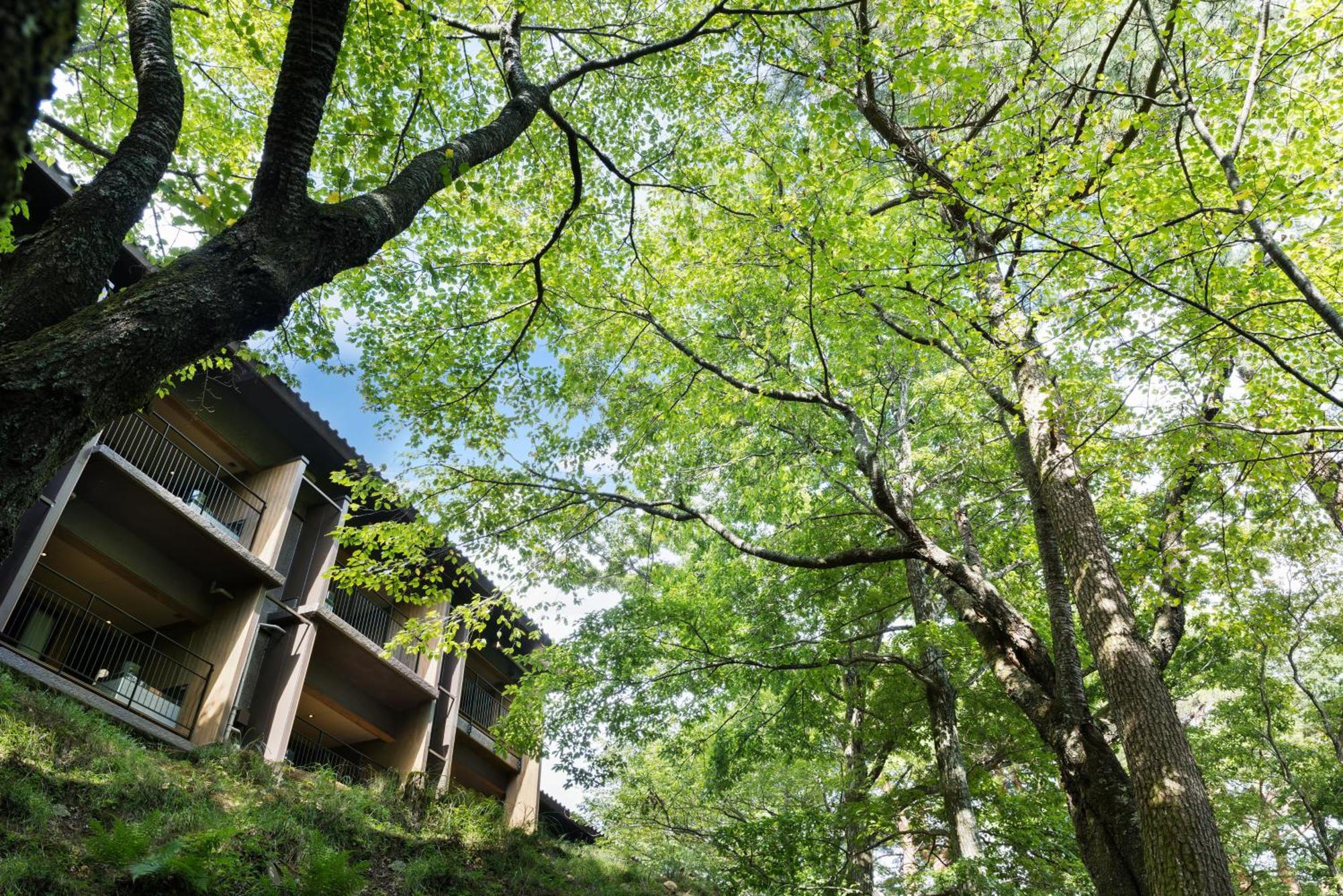 Laforet Shuzenji Sanshisuimei Izu  Buitenkant foto